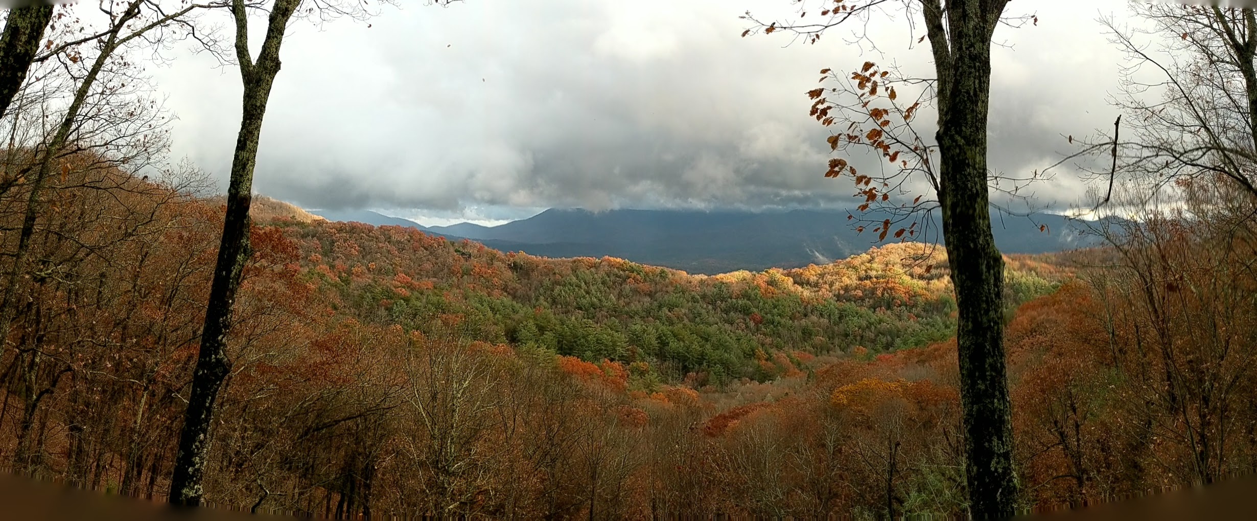 Late fall colors rolling across the North Georgia mountains.